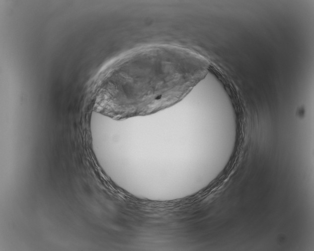 X0000115271494200912111151