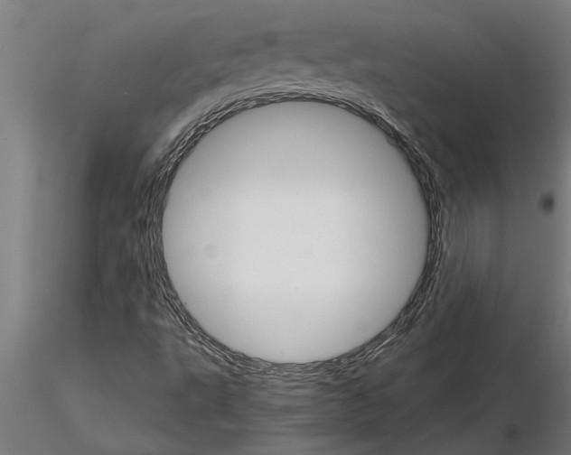 X0000115271495200912111151