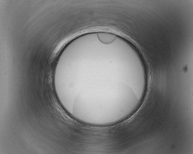 X0000115271498200912111151