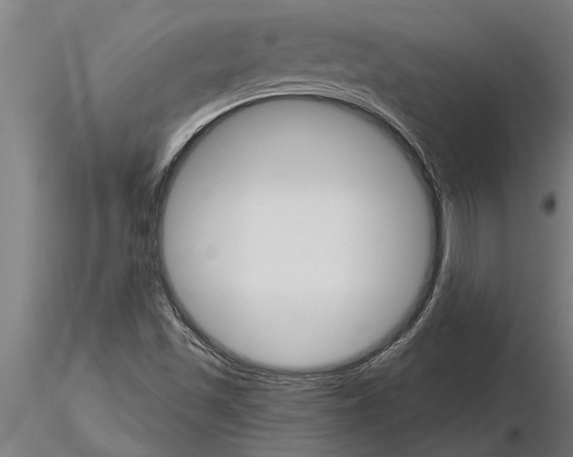 X0000115271501200912111151