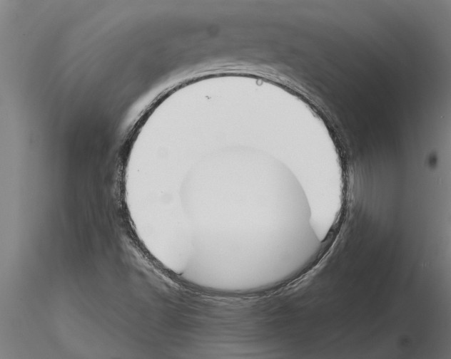 X0000115271502200912111151