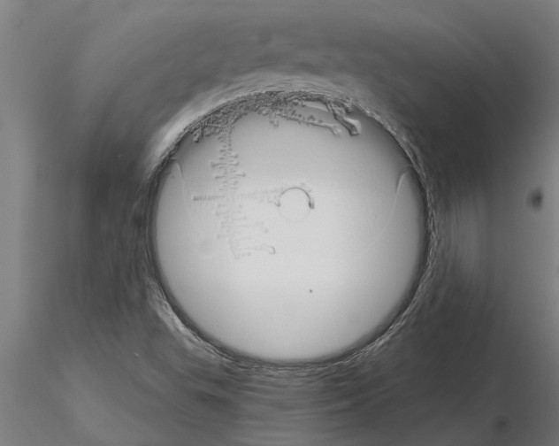 X0000115271503200912111151