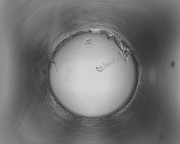 X0000115271505200912111151