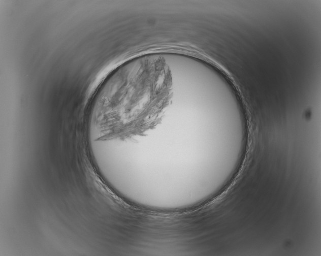 X0000115271506200912111151