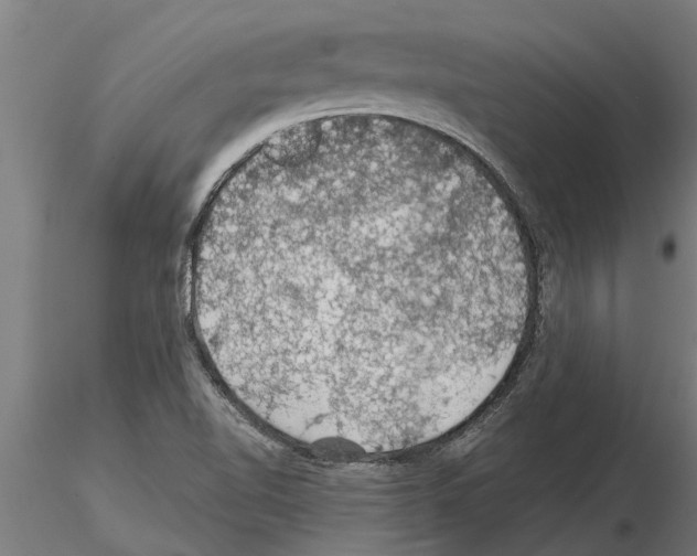 X0000115271510200912111151