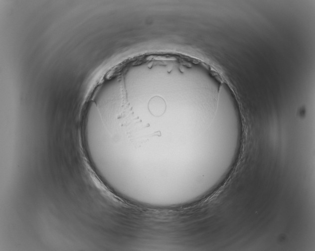 X0000115271511200912111151