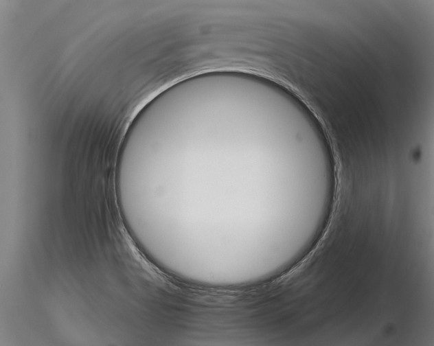 X0000115271513200912111151