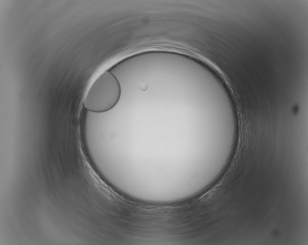 X0000115271514200912111151