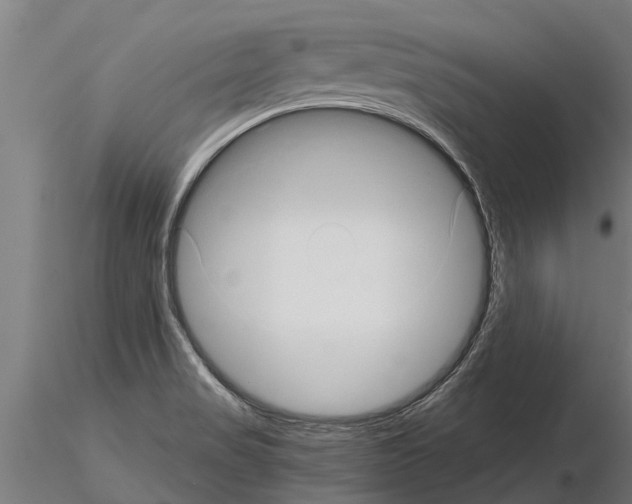 X0000115271517200912111151