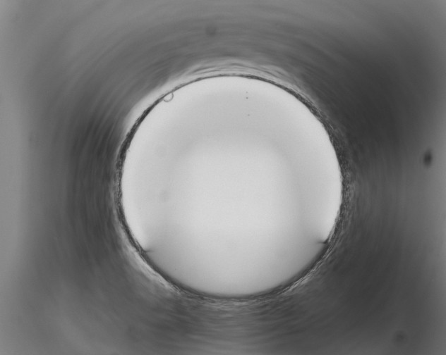 X0000115271518200912111151