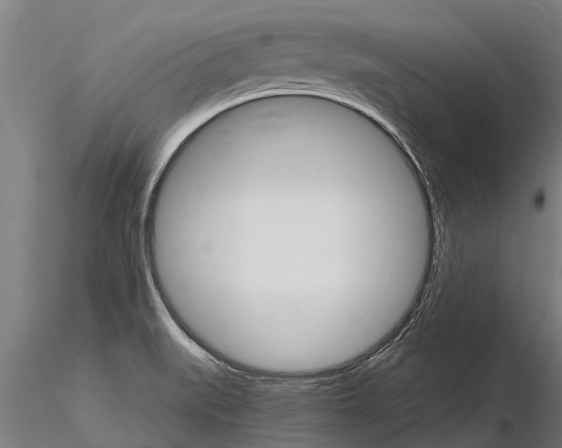 X0000115271519200912111151