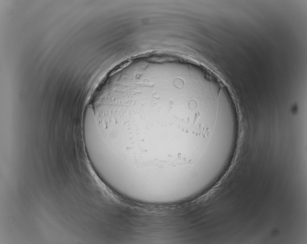 X0000115271521200912111151