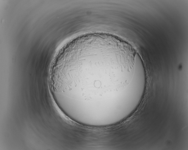 X0000115271523200912111151