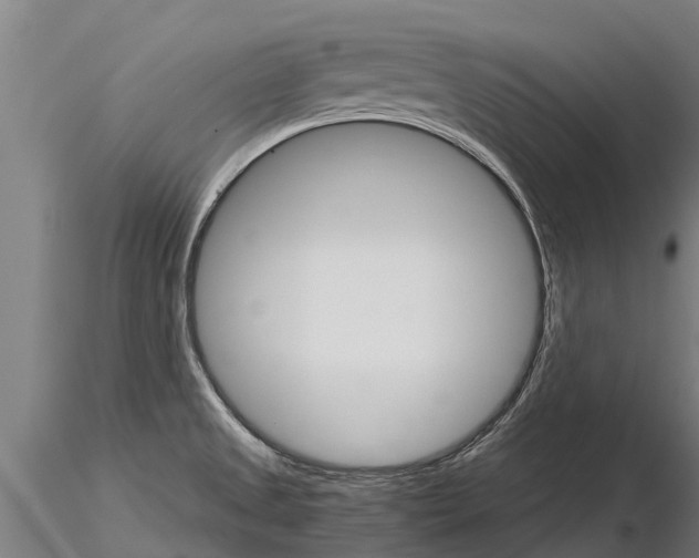 X0000115271525200912111151