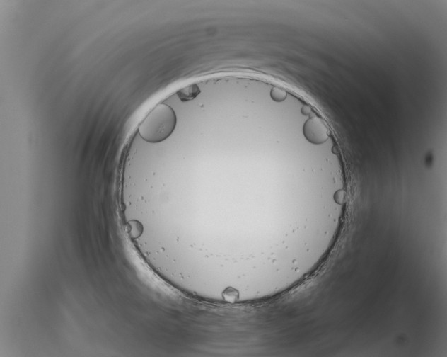 X0000115271526200912111151