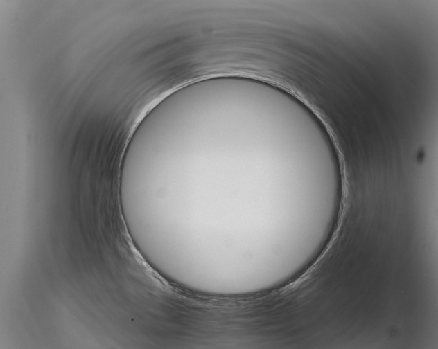 X0000115271529200912111152