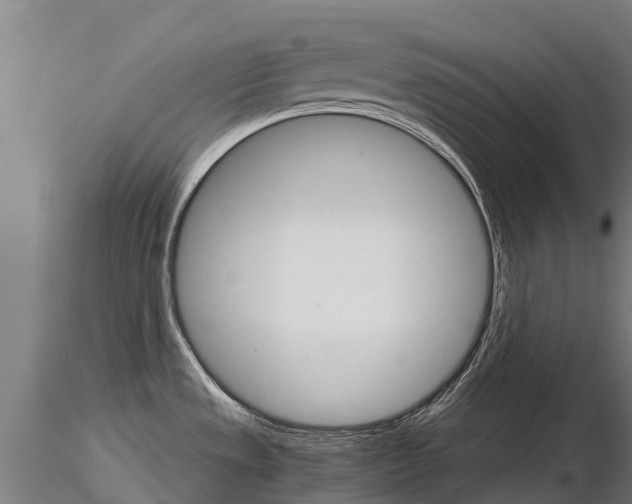 X0000115271533200912111152