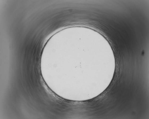 X0000115271534200912111152