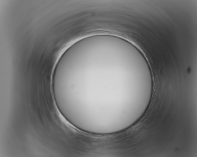 X0000115271535200912111152