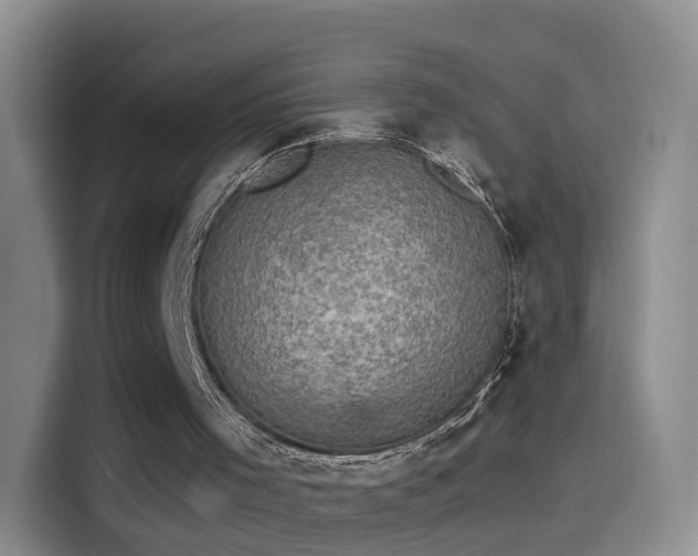 X0000115280001200911061337