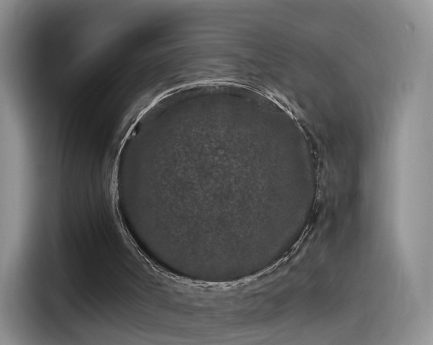 X0000115280002200911061337