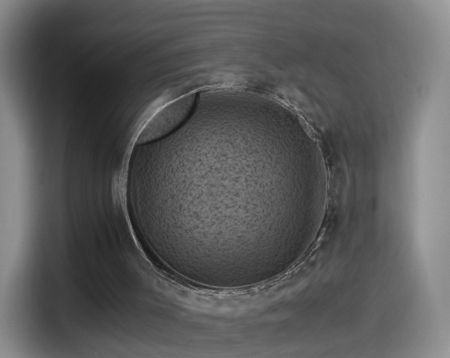 X0000115280003200911061337