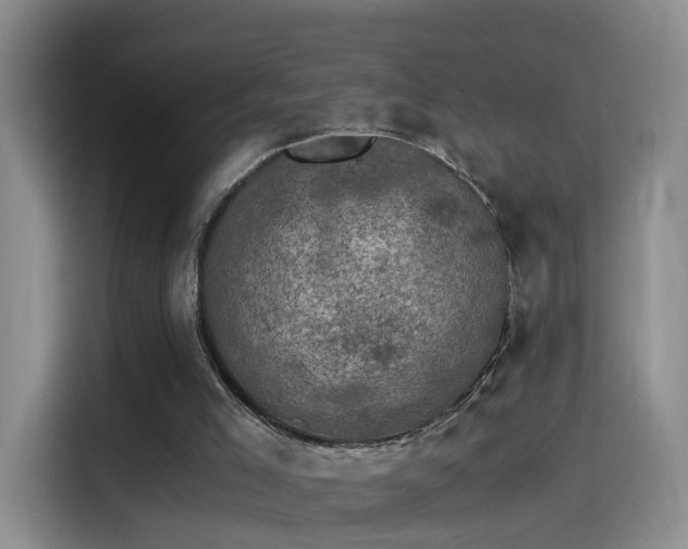 X0000115280005200911061337