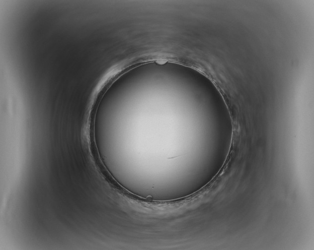 X0000115280006200911061337