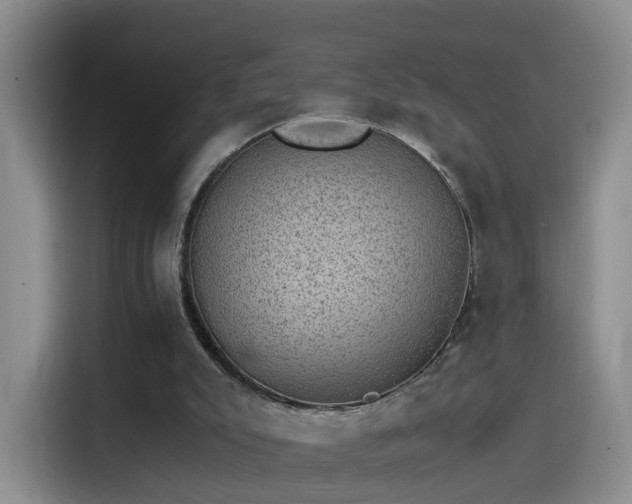 X0000115280007200911061337