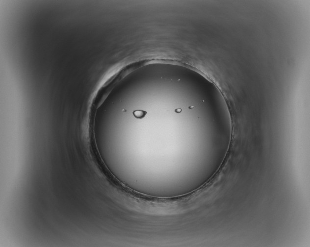 X0000115280008200911061337