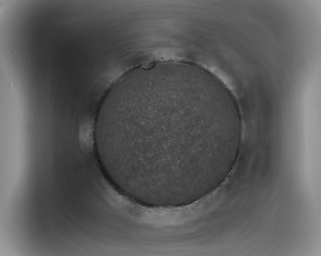 X0000115280009200911061337