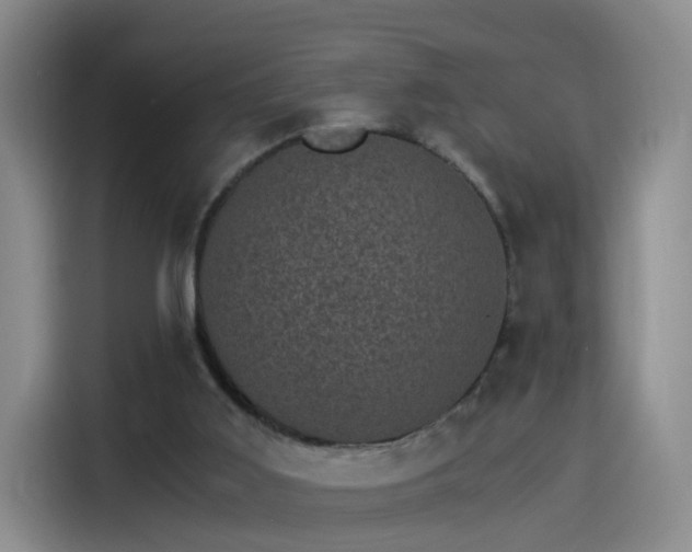 X0000115280011200911061337