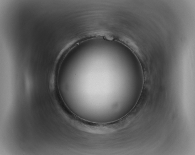 X0000115280012200911061337