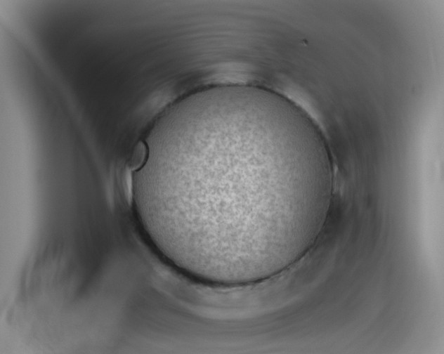 X0000115280013200911061337