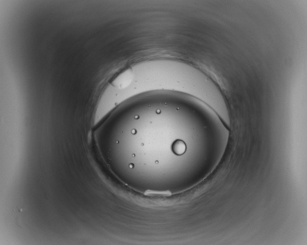 X0000115280014200911061337