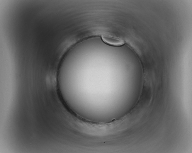 X0000115280015200911061337