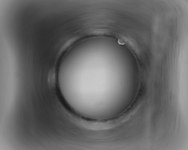 X0000115280016200911061337