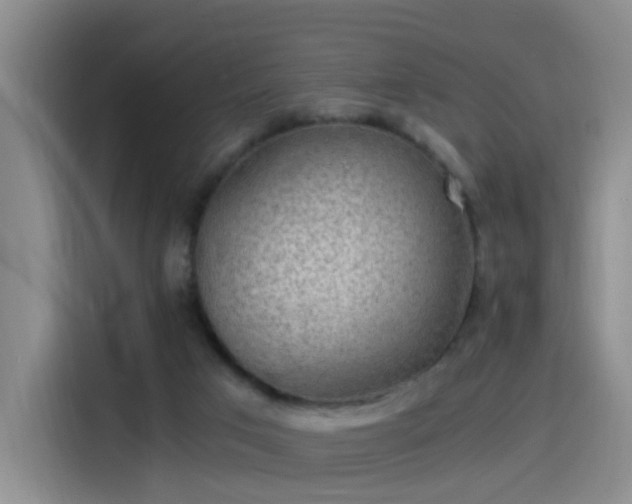 X0000115280017200911061337