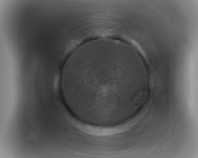 X0000115280018200911061337