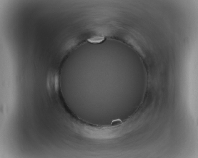 X0000115280019200911061337