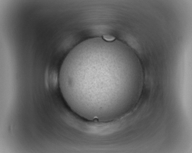 X0000115280021200911061337