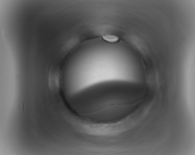 X0000115280023200911061337