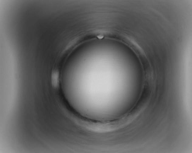 X0000115280024200911061337