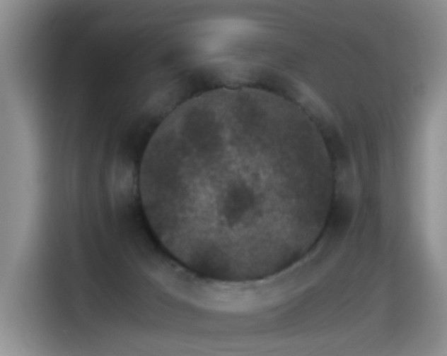 X0000115280029200911061337