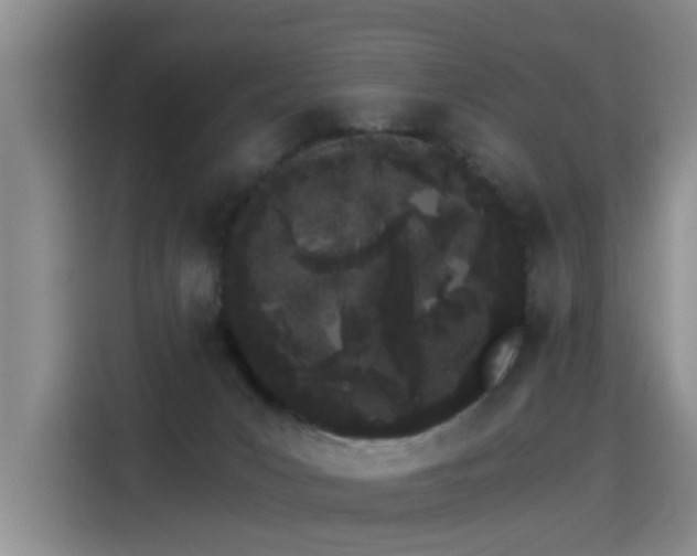 X0000115280031200911061337