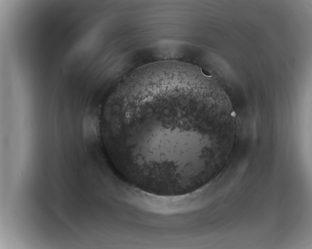 X0000115280035200911061337