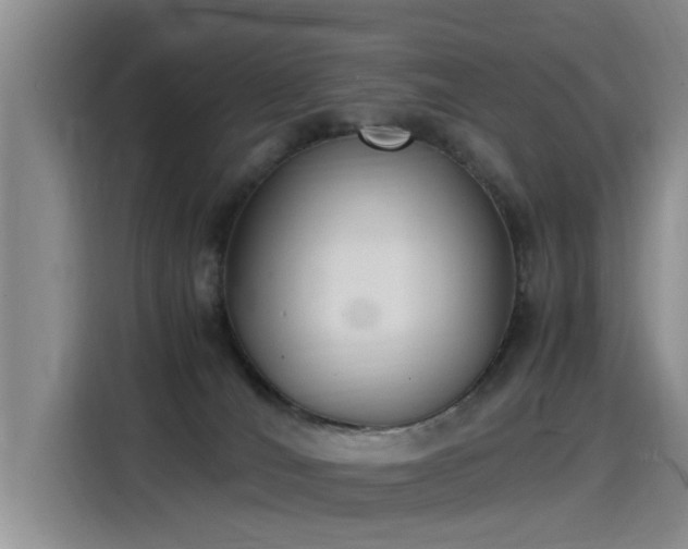 X0000115280036200911061337