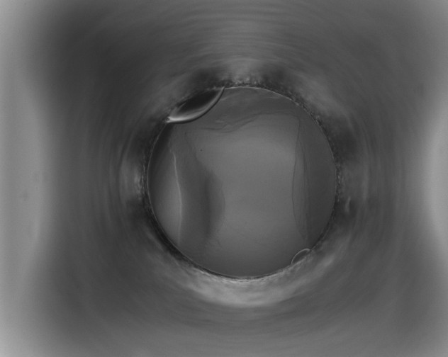 X0000115280039200911061337