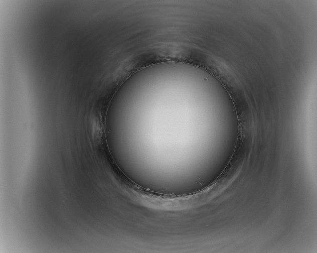 X0000115280040200911061337