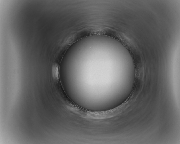 X0000115280041200911061337